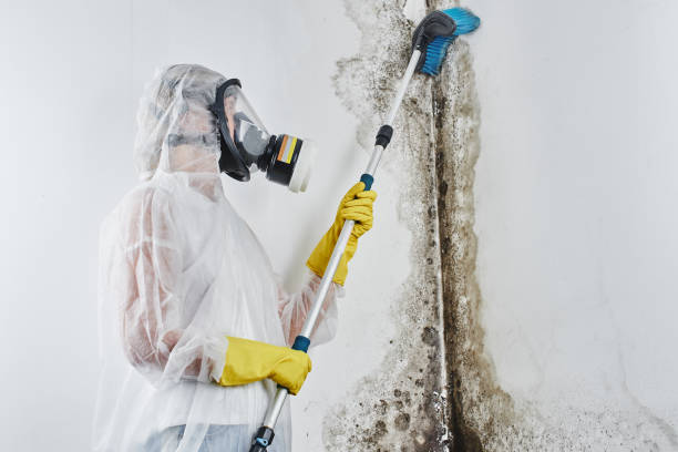 Water Damage Restoration in Redwood, TX