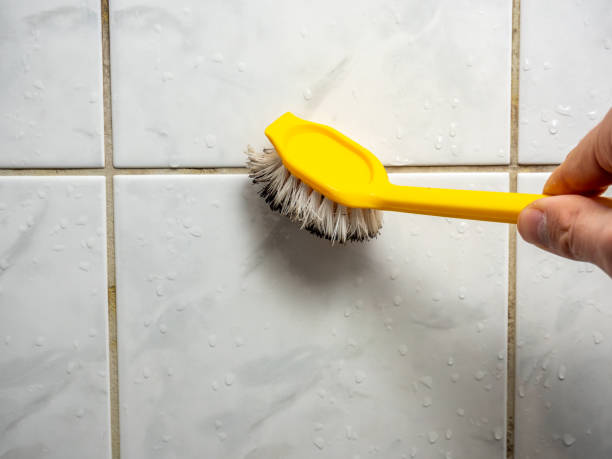 Best Emergency Mold Removal  in Redwood, TX