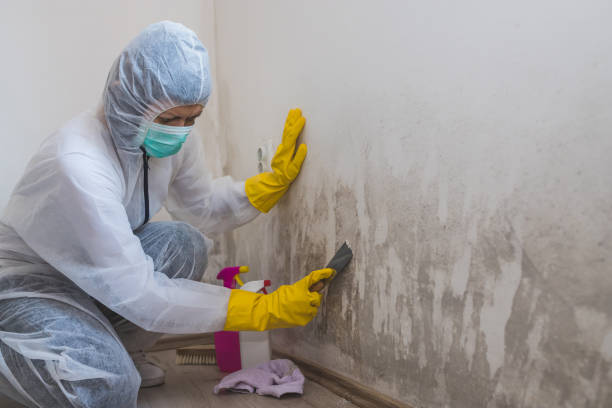 Best Mold Testing  in Redwood, TX