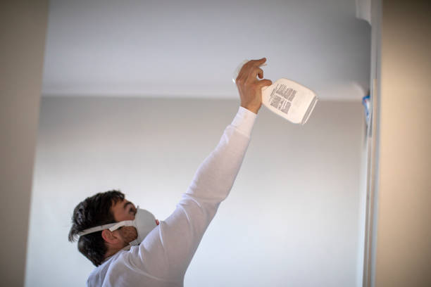 Best Mold Testing  in Redwood, TX