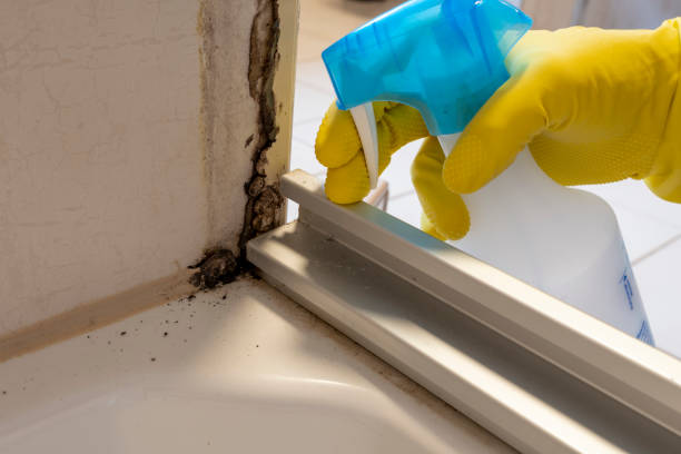 Best Mold Cleaning Services  in Redwood, TX