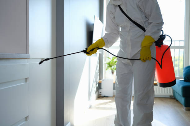 Best Professional Mold Removal  in Redwood, TX