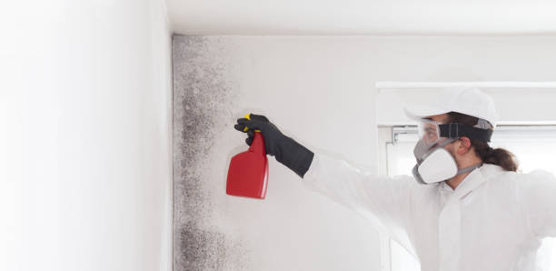 Best Best Mold Removal Companies  in Redwood, TX