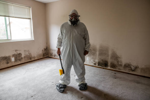 Best Mold Damage Repair  in Redwood, TX